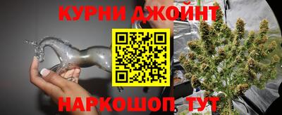 наркотики Гатчина