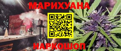 спиды Гай