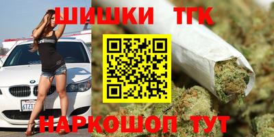 спиды Гай