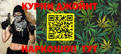 спиды Гай