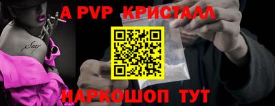 спиды Гай