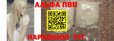 спиды Гай
